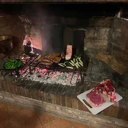 Gioade Bolgheri