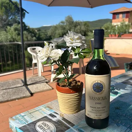 Gioade Bolgheri